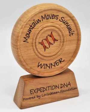 Handmade wooden disc trophies