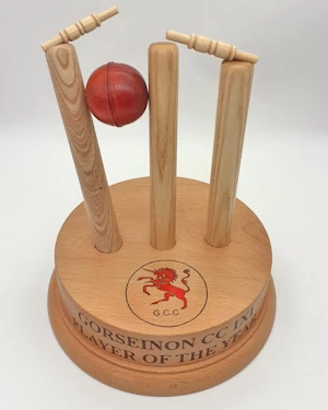 Handmade wooden trophy disc