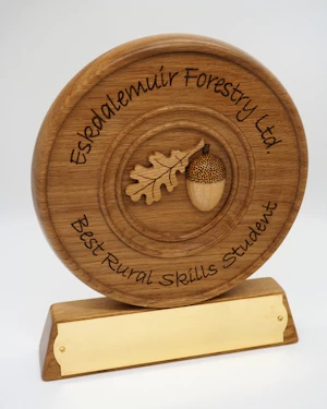 handmade wooden forestry trophy